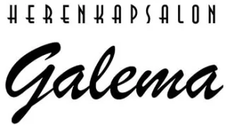 Logo van Herenkapsalon Galema
